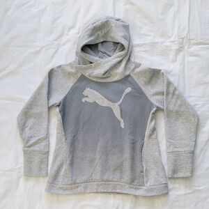 Puma Gray Two-Tone Hoodie